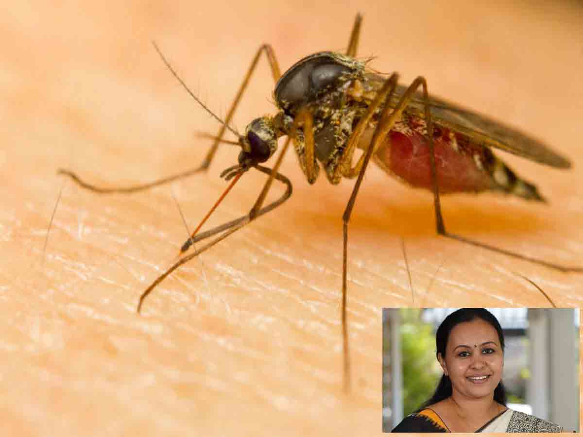 కేరళలో మరో జికా వైరస్‌ కేసు.. 15కు చేరిన బాధితులు