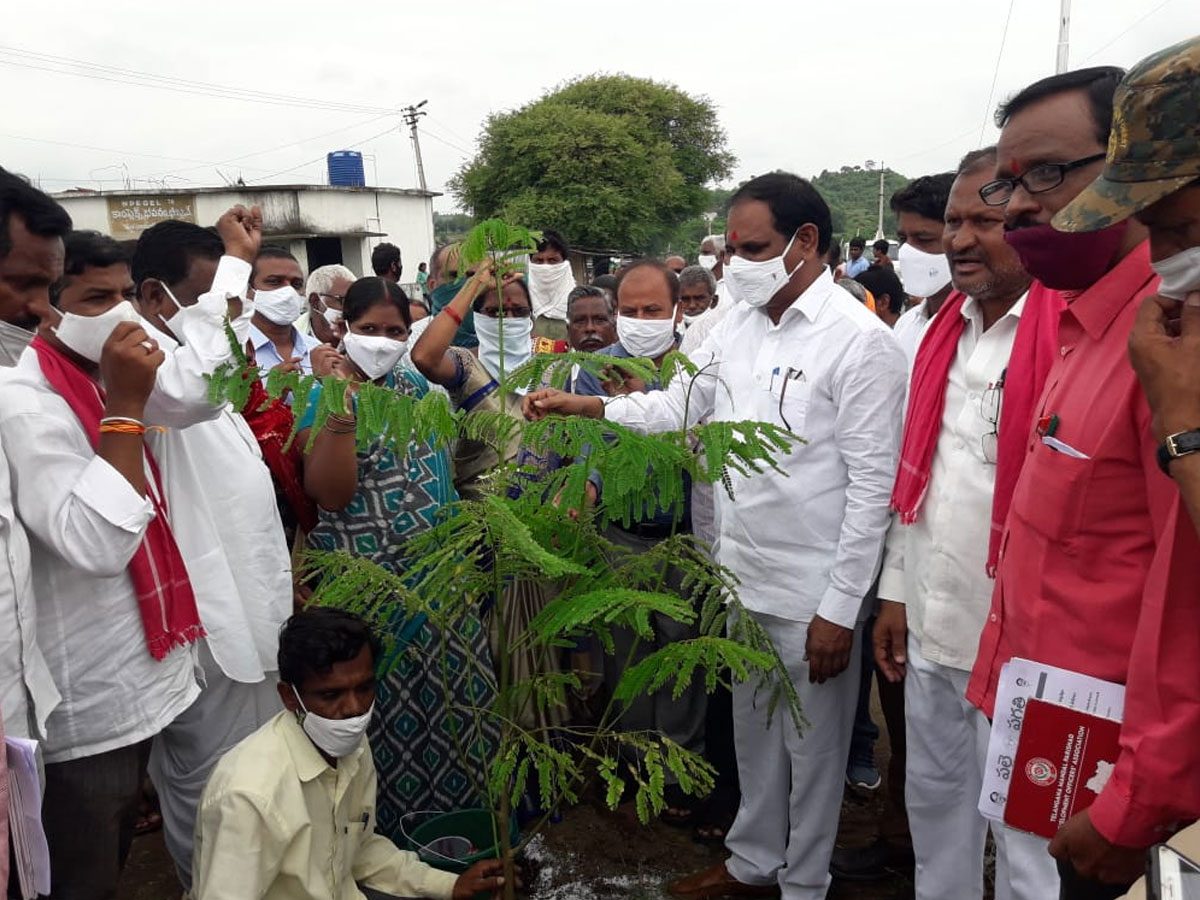 భీంపూర్‌లో ఉద్యమంలా హరితహారం