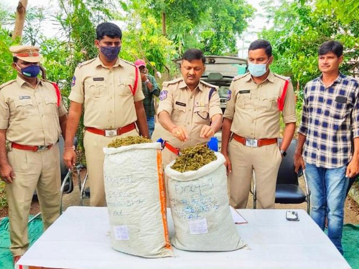 వాంకిడిలో 15 కిలోల గంజాయి పట్టివేత