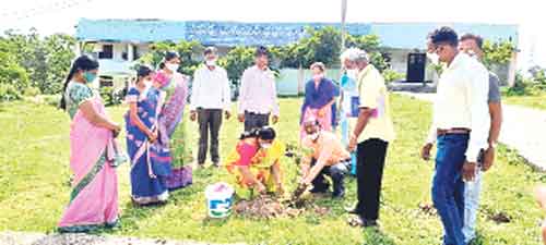 వనాలతోనే పర్యావరణ పరిరక్షణ..