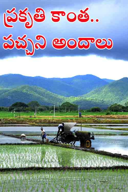 ప్ర‌కృతి కాంత‌.. ప‌చ్చ‌ని అందాలు