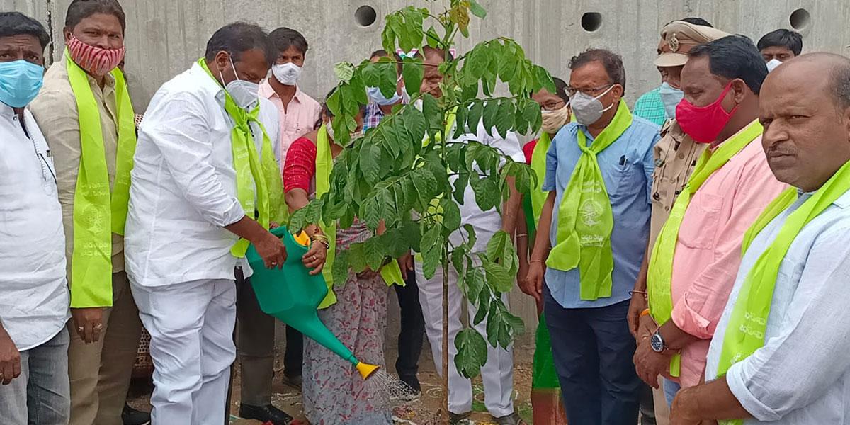 మొక్కల పెంపకంతోనే మానవ మనుగడ