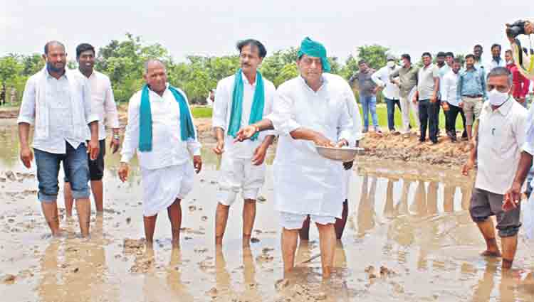 వెద సాగుతో మేలు: మంత్రి అల్లోల