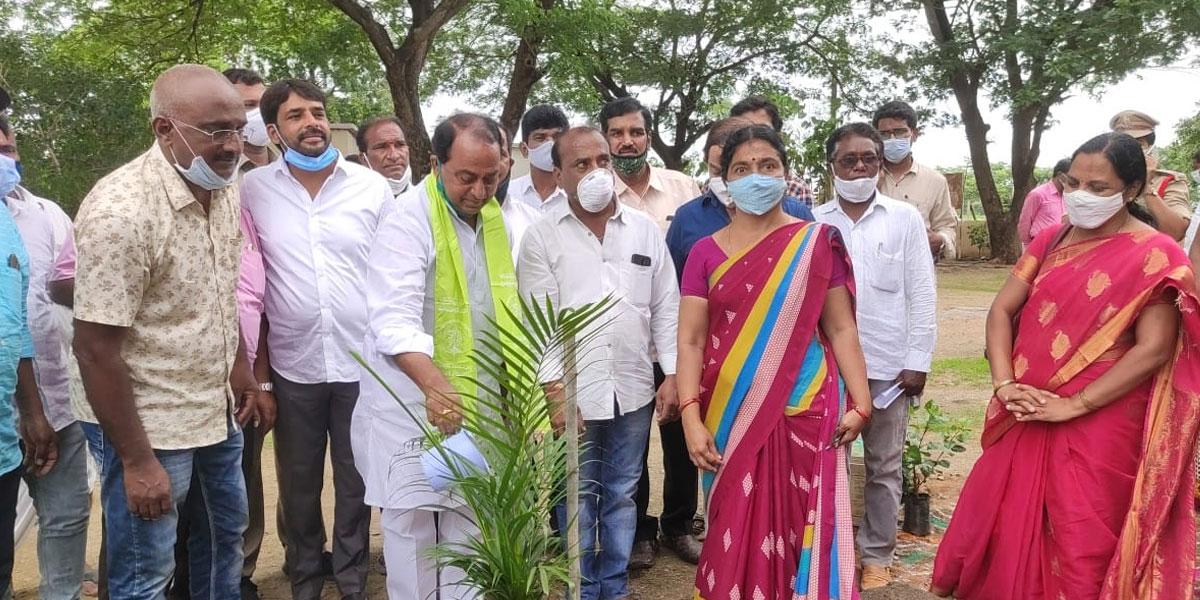 నాటిన ప్రతి మొక్క బతకాలి : మంత్రి అల్లోల