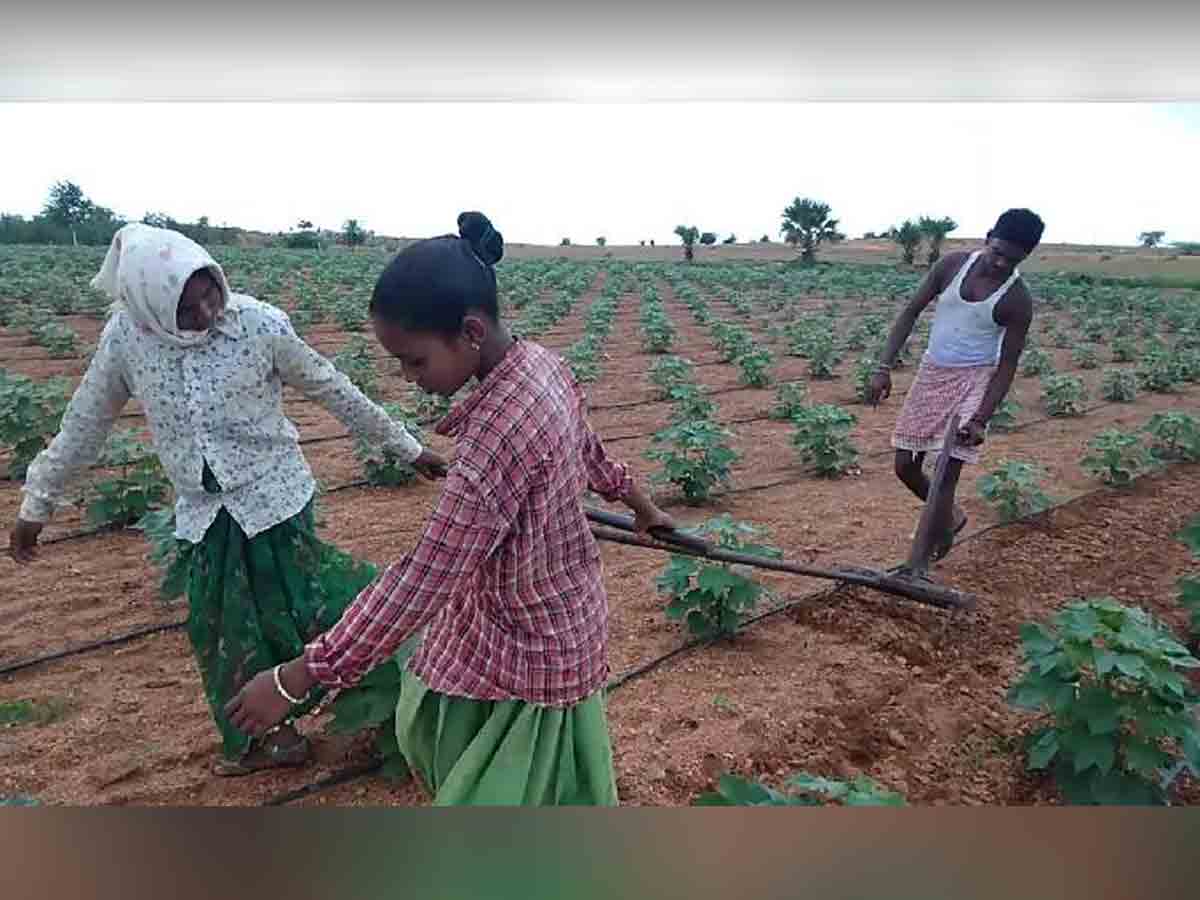 భార్య‌, చెల్లిని కాడెద్దులుగా పెట్టుకుని వ్య‌వ‌సాయం