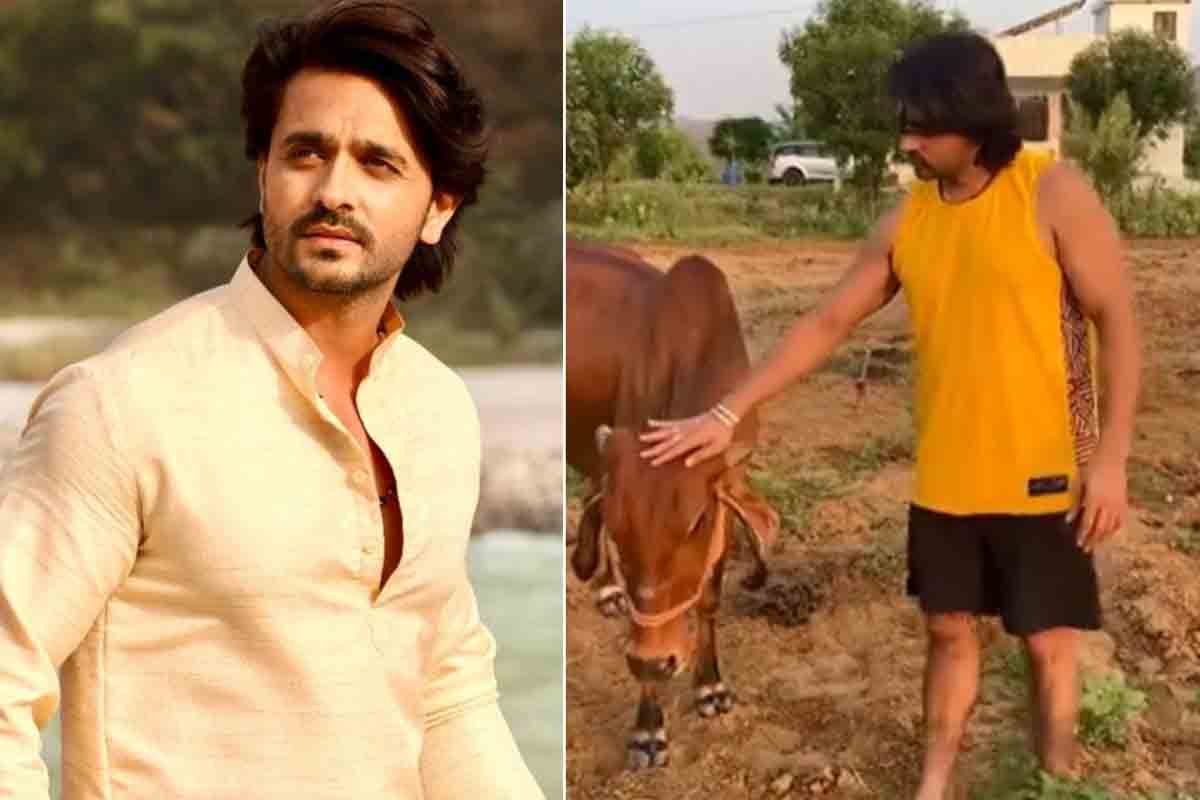 రైతుగా మారిన న‌టుడు.. 40 ఆవుల‌తో పాల వ్యాపారం