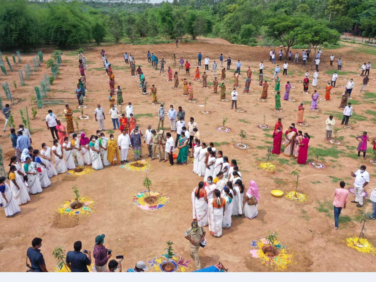 సత్తుపల్లిలో మెగా హరితహారం