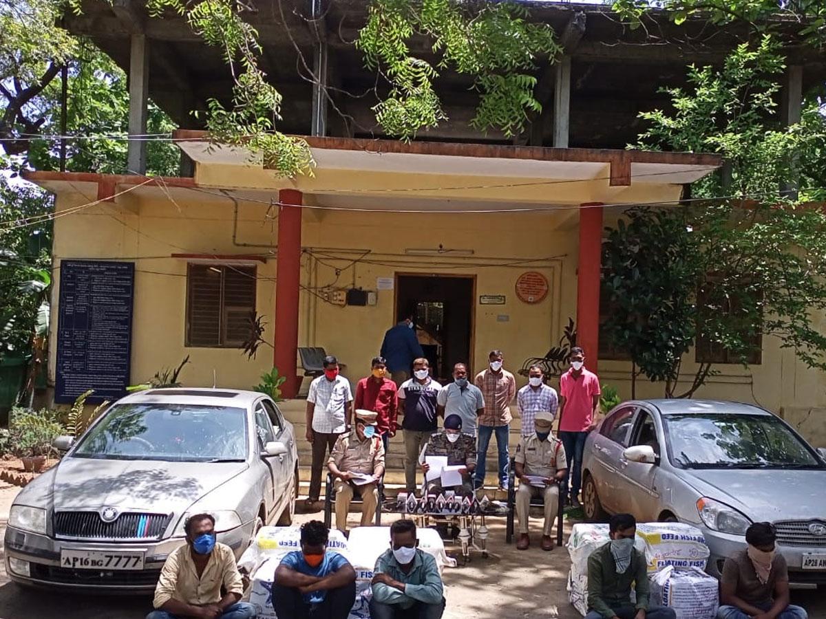 భద్రాచలంలో రూ.42.80 లక్షల గంజాయి పట్టివేత