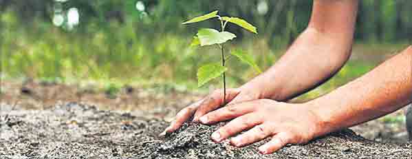 మట్టికి పూలాభిషేకం