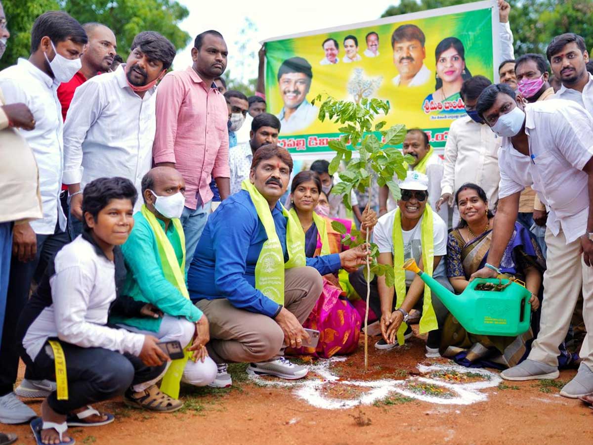గ్రీన్‌ ఇండియా ఛాలెంజ్‌ : మొక్కలు నాటి బొంతు రామ్మోహన్