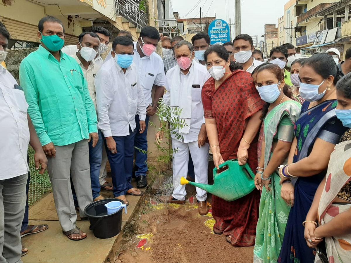 మొక్కలు నాటి ఆరోగ్య తెలంగాణకు బాటలు వేద్దాం
