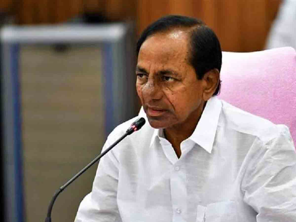 మెగా డెయిరీకి సీఎం గ్రీన్‌సిగ్నల్‌