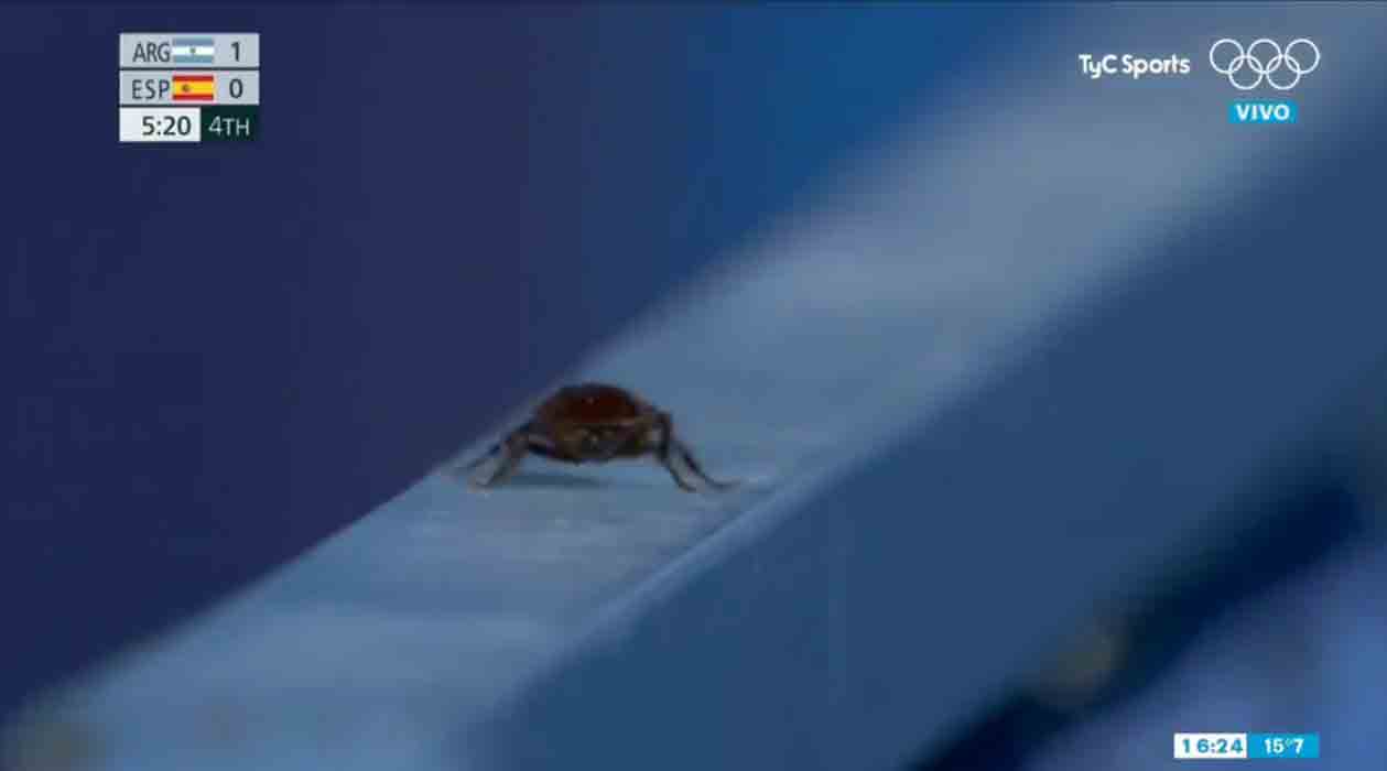 Tokyo Olympics: ఒలింపిక్స్‌కు కొత్త ప్రేక్ష‌కుడు.. వీడియో క్లిప్ వైర‌ల్‌