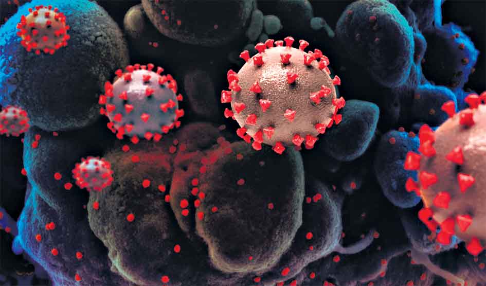 వచ్చే నెలలో థర్డ్‌ వేవ్‌!