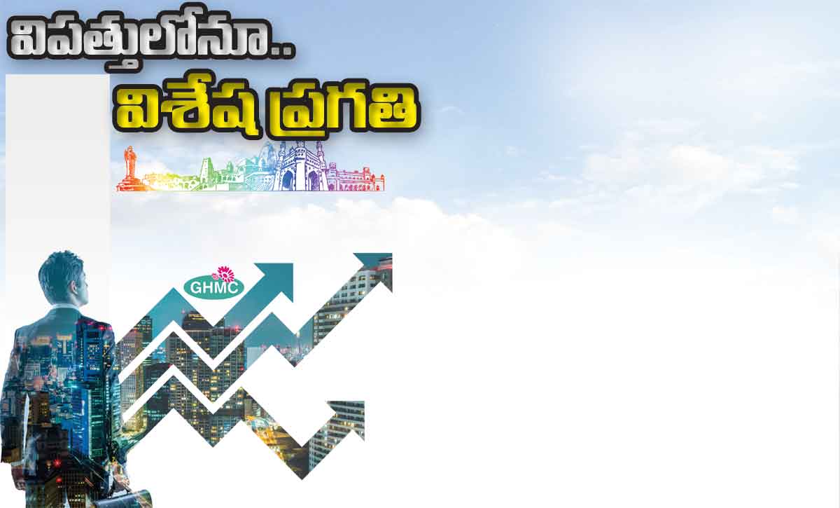 విపత్తులోనూ విశేష ప్రగతి