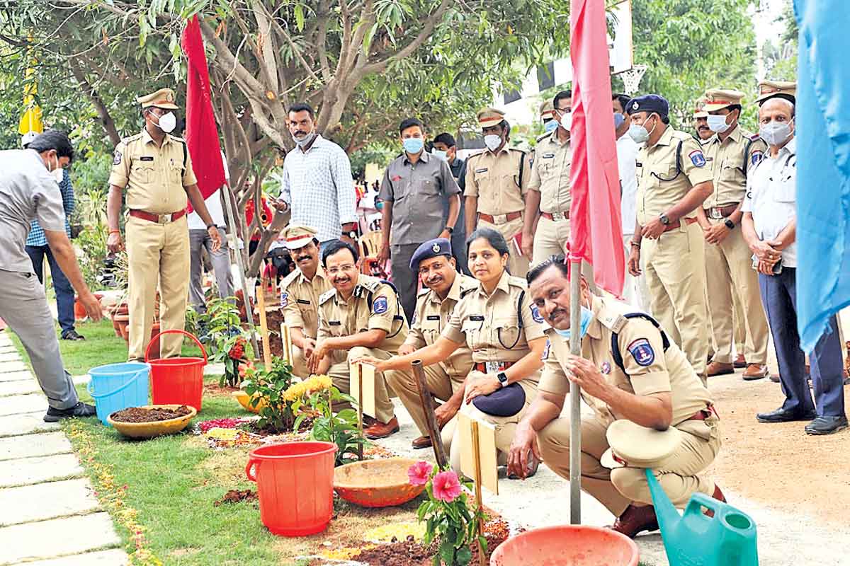 ప్రతి మొక్కను కాపాడారు