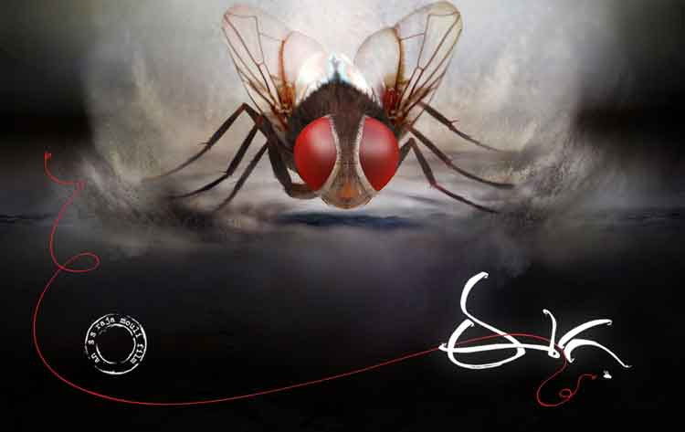 రాజమౌళి సంచలన ‘ఈగ’కు 9 ఏళ్ళు..ఫైనల్ కలెక్షన్స్ ఇవే