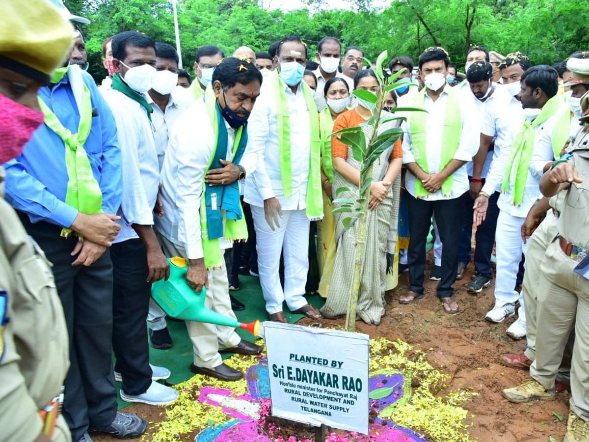 ప్రతి ఒక్కరు మొక్కలను నాటాలి : మంత్రి ఎర్రబెల్లి