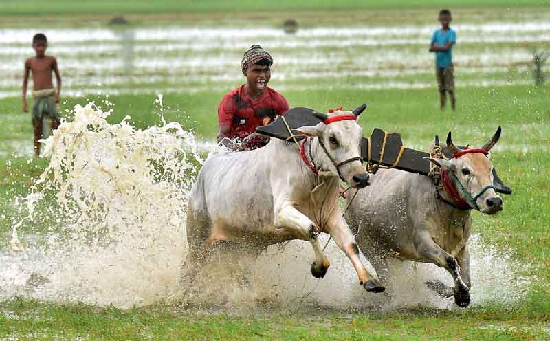 ఇక పార్లమెంటు వద్దా రైతుల నిరసన