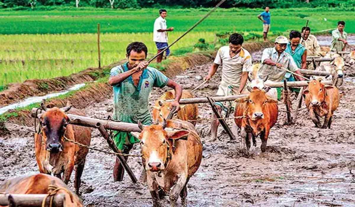 రైతుల నుంచి 3000 కోట్లు వెన‌క్కి తీసుకుంటున్నాం..