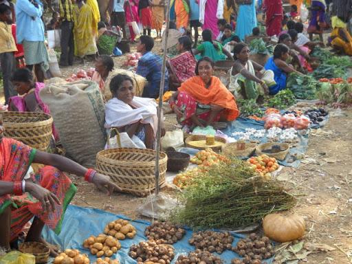 ఆదివాసీలకు పోషకాహార భద్రత