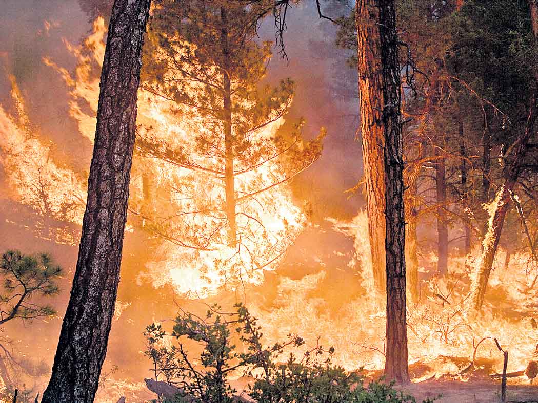 కార్చిచ్చులతో కరోనా వ్యాప్తి!