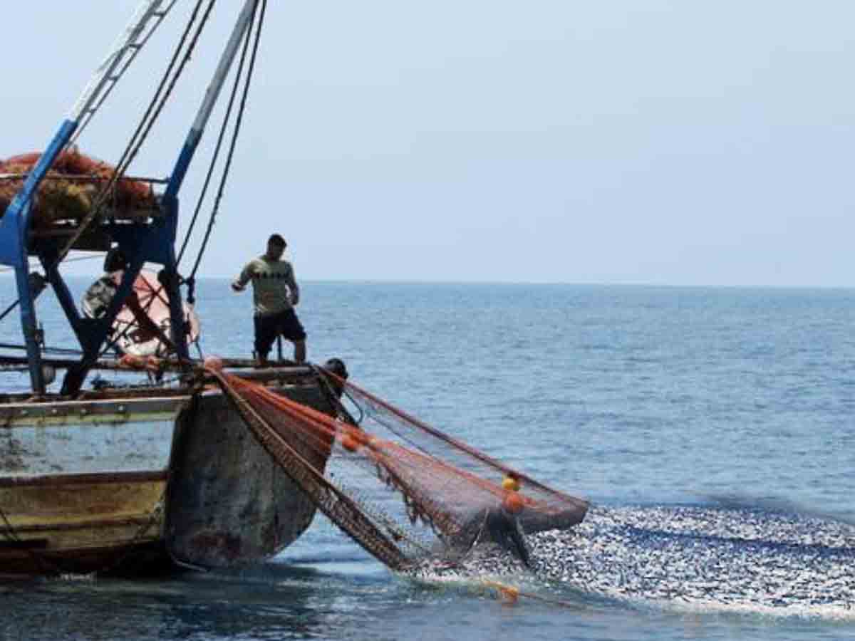 సముద్రంలో 12 మంది మత్స్యకారులు గల్లంతు!