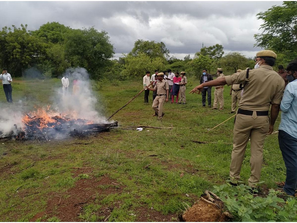 350 కిలోల గంజాయిని దగ్ధం చేసిన పోలీసులు