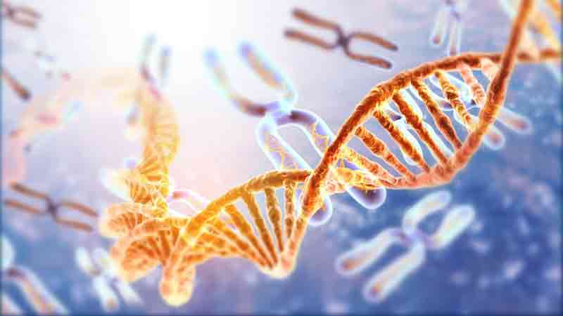 115 కొత్త జన్యుకణాల గుర్తింపు