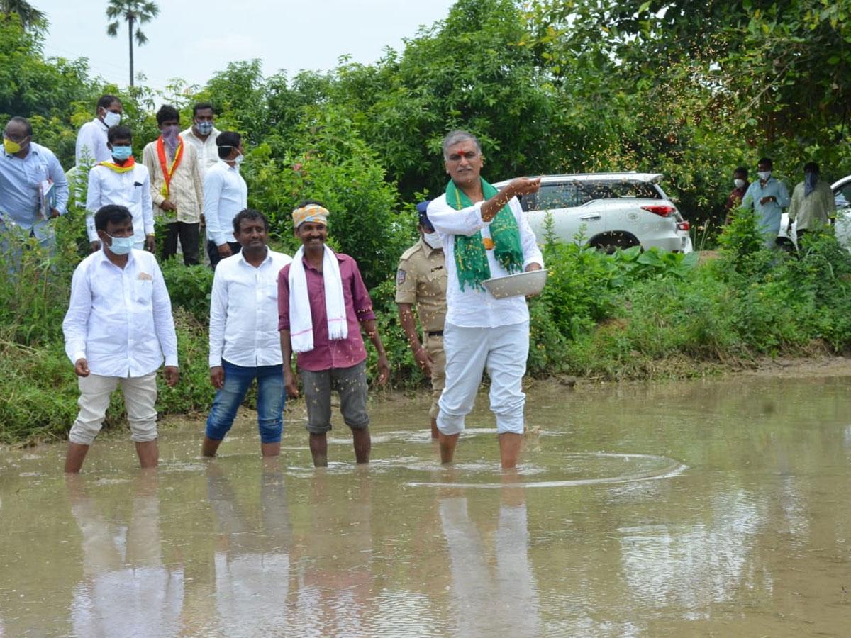 వెదజల్లే పద్దతిలో వరి సాగుతో అధిక లాభాలు : మంత్రి హరీశ్‌ రావు