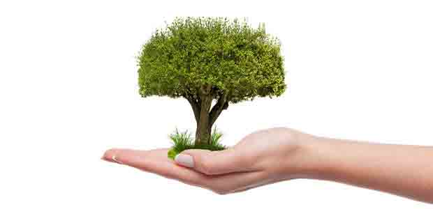 వాడవాడలా ప్రగతి సైన్యం