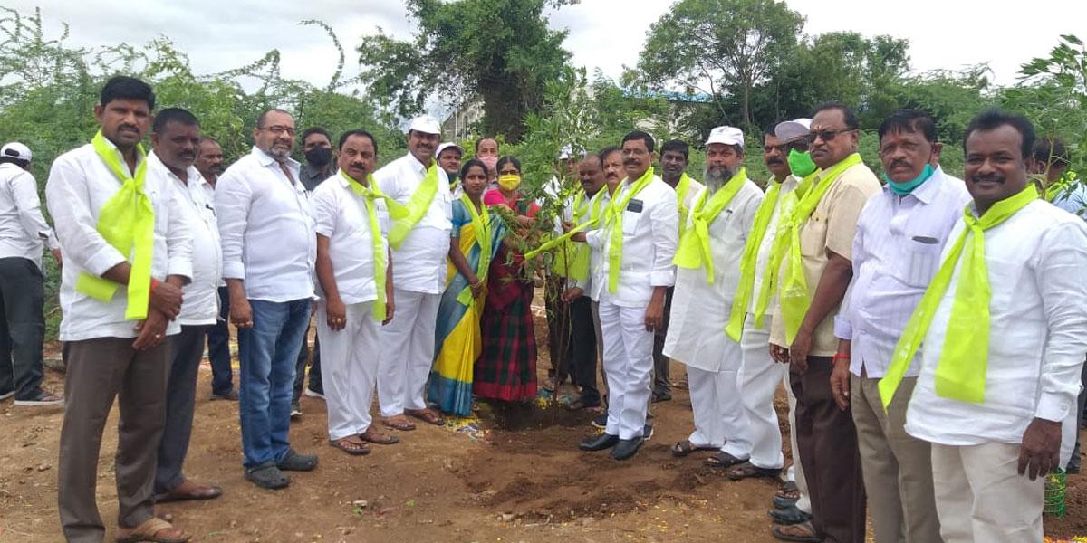 మొక్కలు నాటి పర్యావరణాన్ని కాపాడుదాం