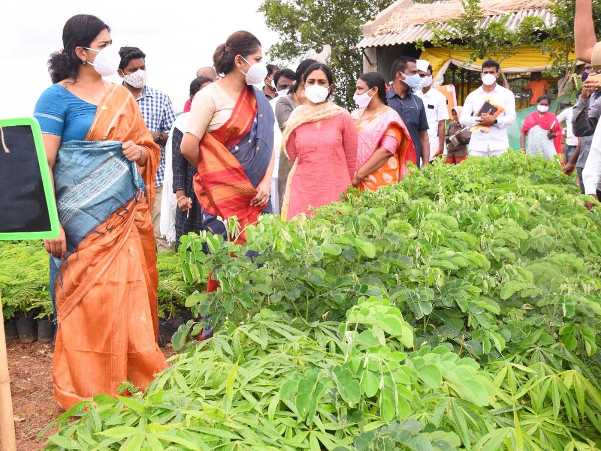 పల్లె ప్రగతితో గ్రామాలు అభివృద్ధి : స్మితా సబర్వాల్‌