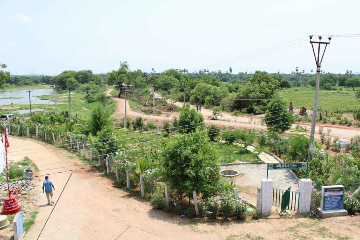 పసరమడ్లలో ప్రగతి పరుగు