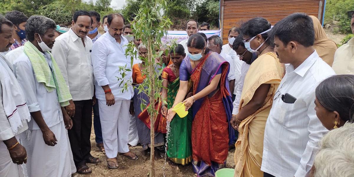 పల్లెలు పచ్చదనంతో కళకళలాడాలి