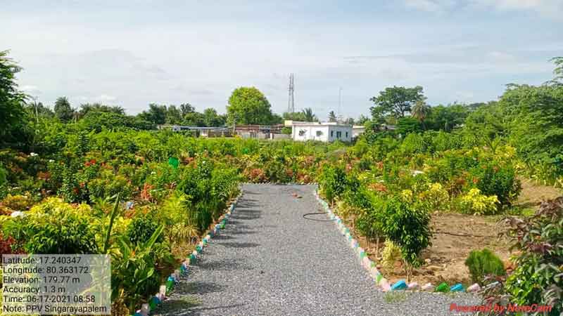 సింగరాయపాలెం.. అభివృద్ధి పథం