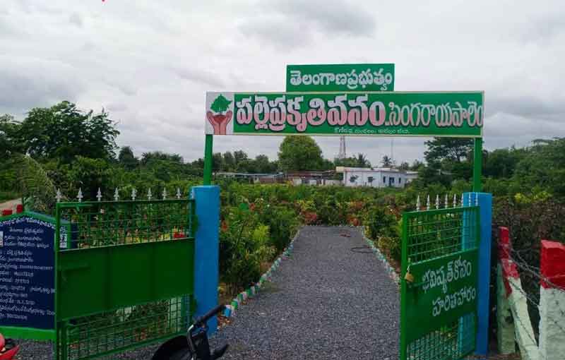 మొక్కలు నాటి కాలుష్యాన్ని నియంత్రించండి