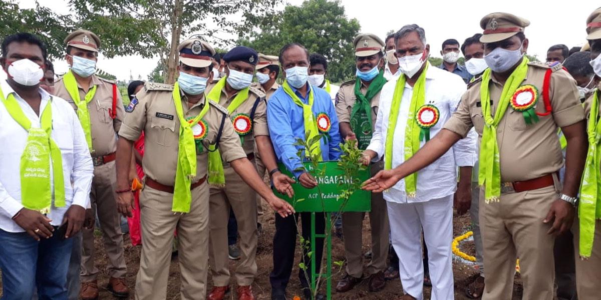 మొక్కలు నాటిన కోలేటి దామోదర్‌