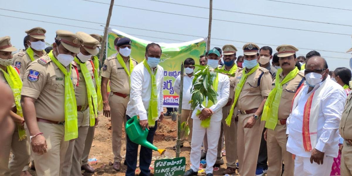 మొక్కలు నాటిన కోలేటి దామోదర్