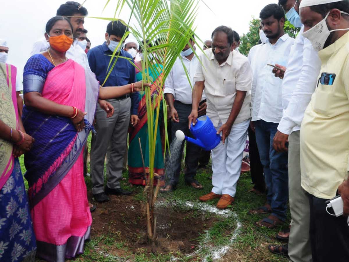 ధర్మపురిని హరిత పట్టణంగా తీర్చిదిద్దాలి