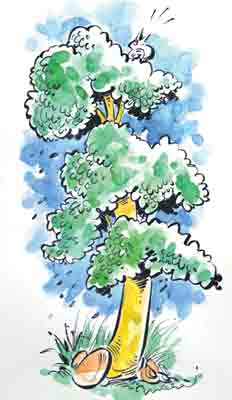 కొత్త గాలి