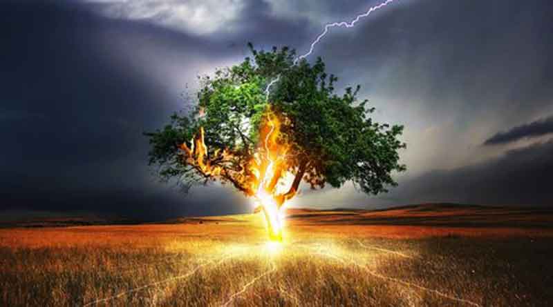 ఉసురు తీస్తున్న పిడుగులు