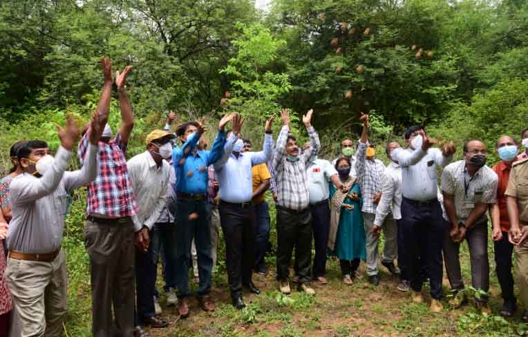 హరితహారంతో పచ్చదనం