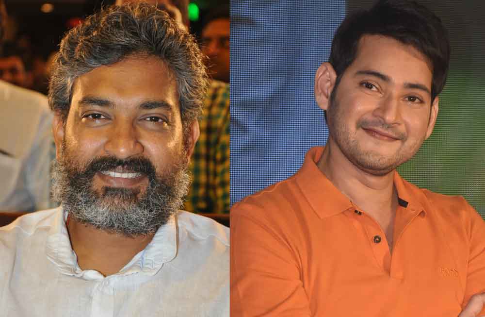 ఆఫ్రికా అడవుల్లో అడ్వెంచర్‌?