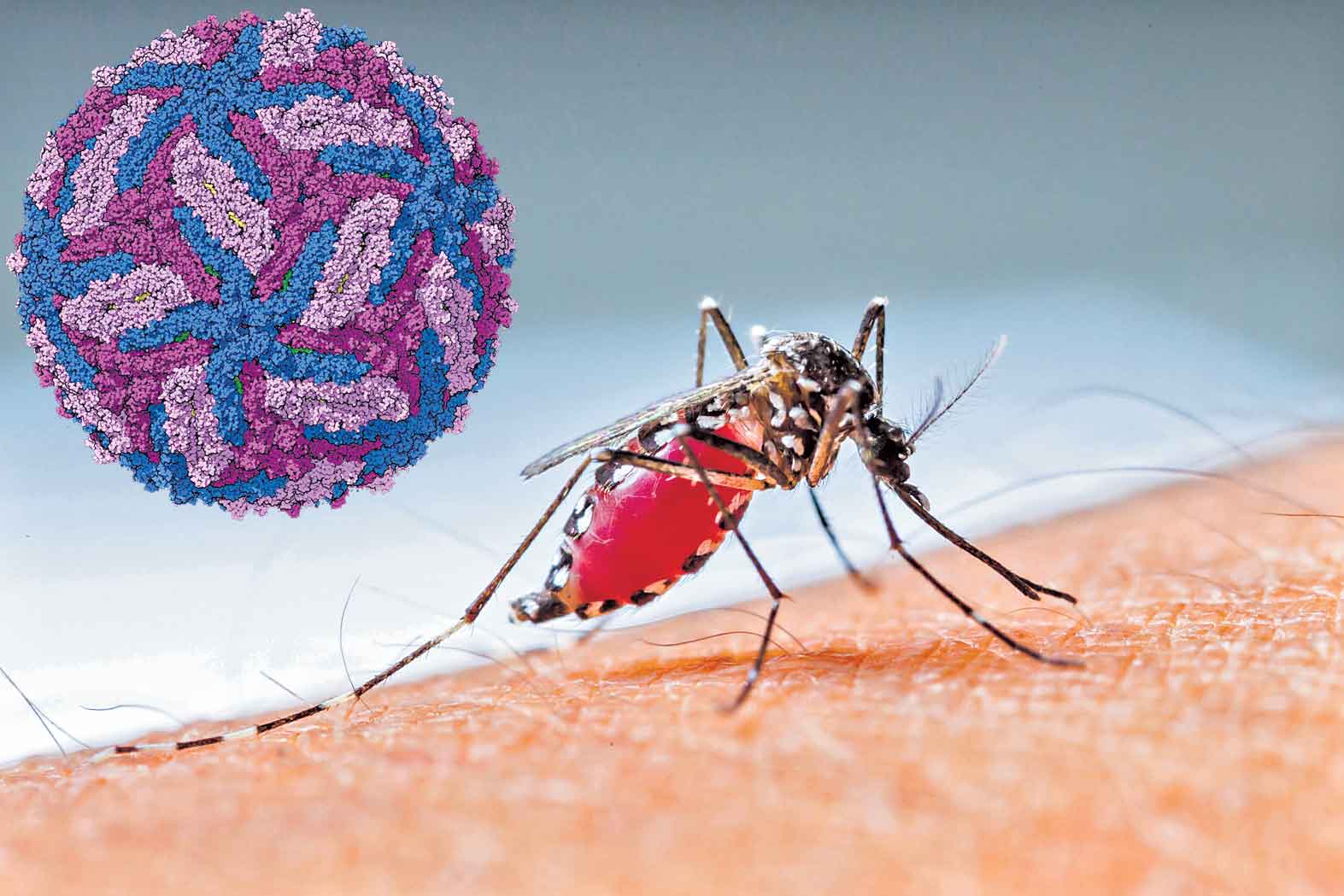 జికా సైరన్‌… కేరళలో 14కి చేరిన కేసులు