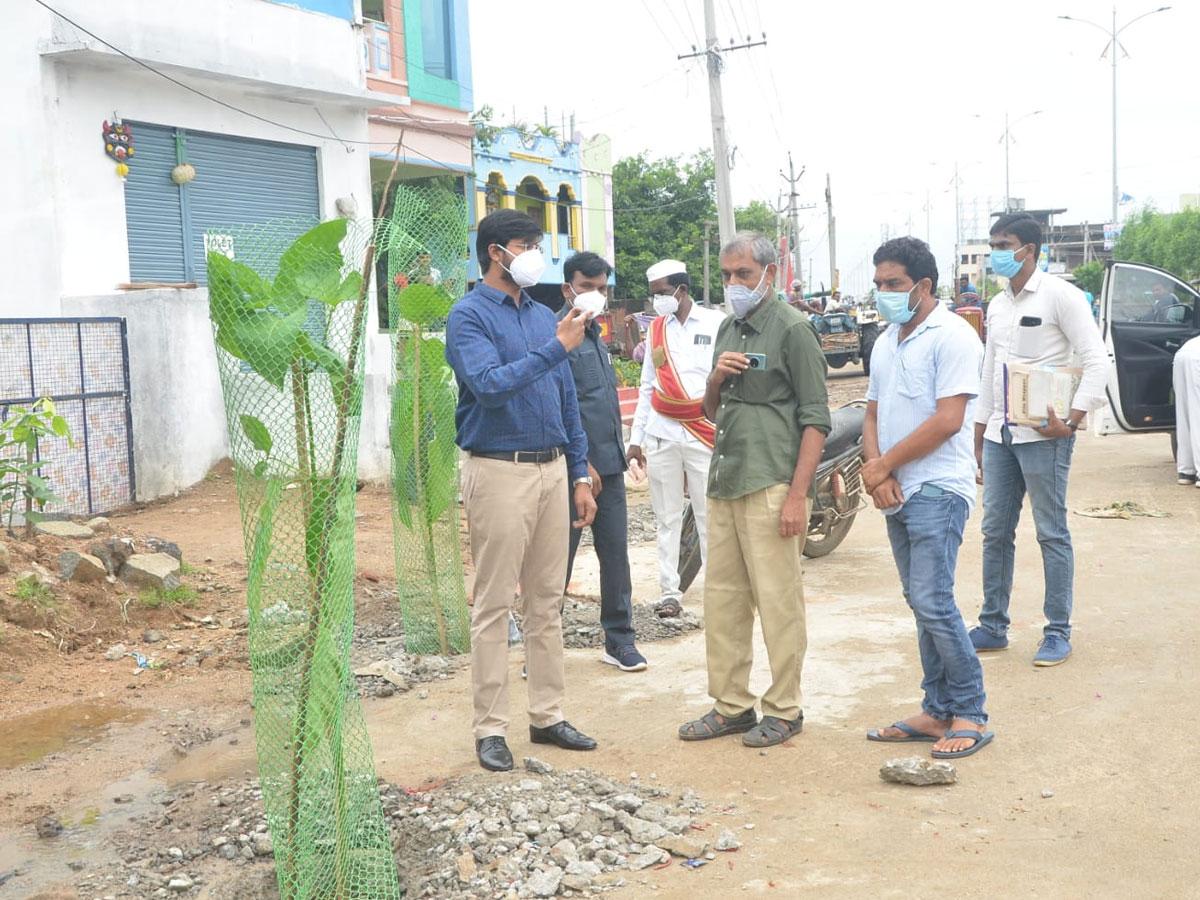 ఏపుగా పెరిగే  మొక్కలను విద్యుత్ లైన్ల కింద నాటొద్దు