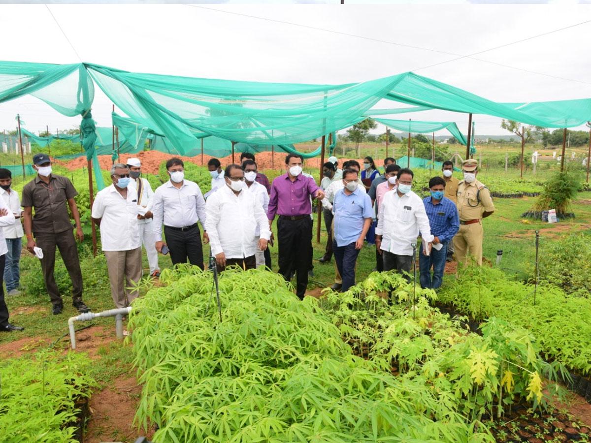పట్టణ ప్రగతితో స్పష్టమైన మార్పు రావాలి