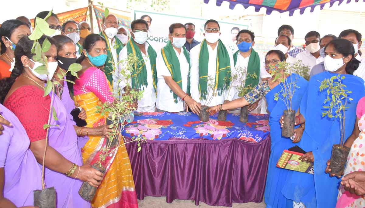 మొక్క నాటిన వారిదే సంరక్షణ బాధ్యత