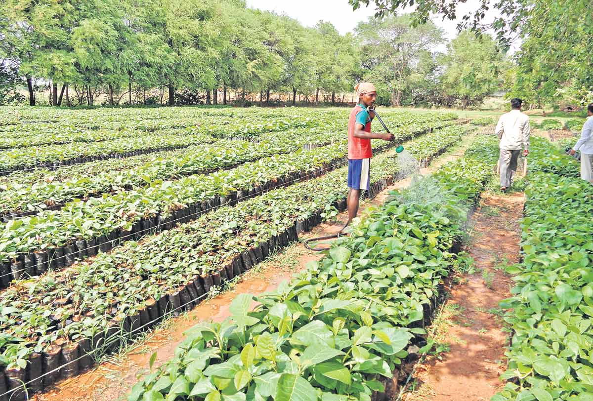 ప్రగతి బాటకు.. అంతా సిద్ధం