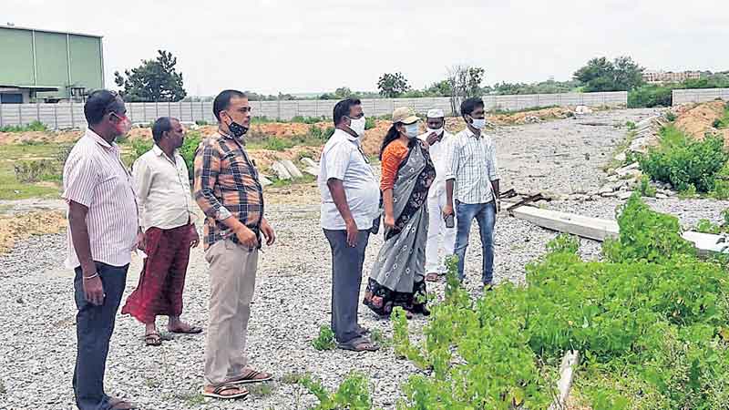 మొక్కలపై నిర్లక్ష్యం వహించొద్దు